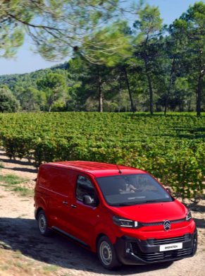 car driving through vineyard