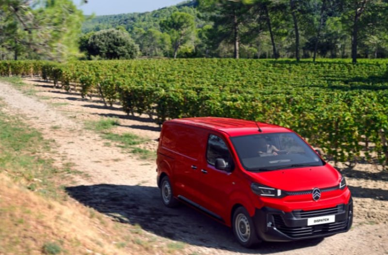 car driving through a vineyard