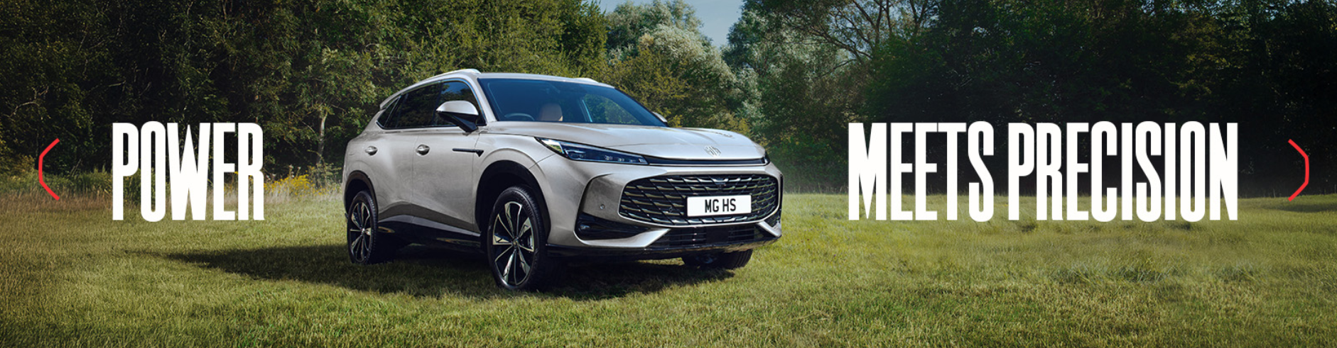 car parked on grass