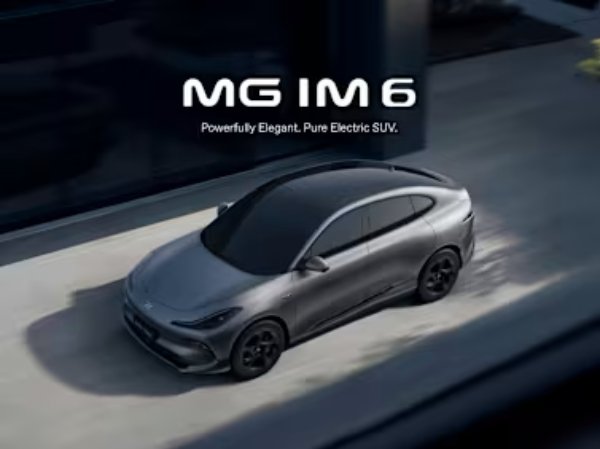 MG IM6