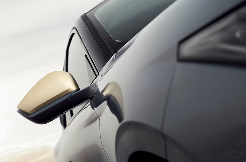 close up of the wing mirror