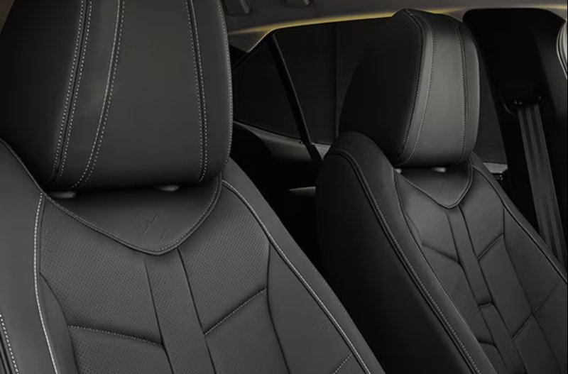 close up of the seats