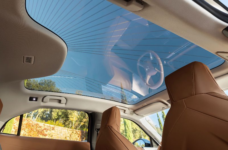 low shot of the sun roof