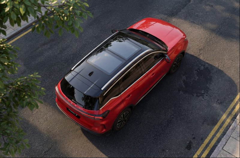 bird eye view of the car