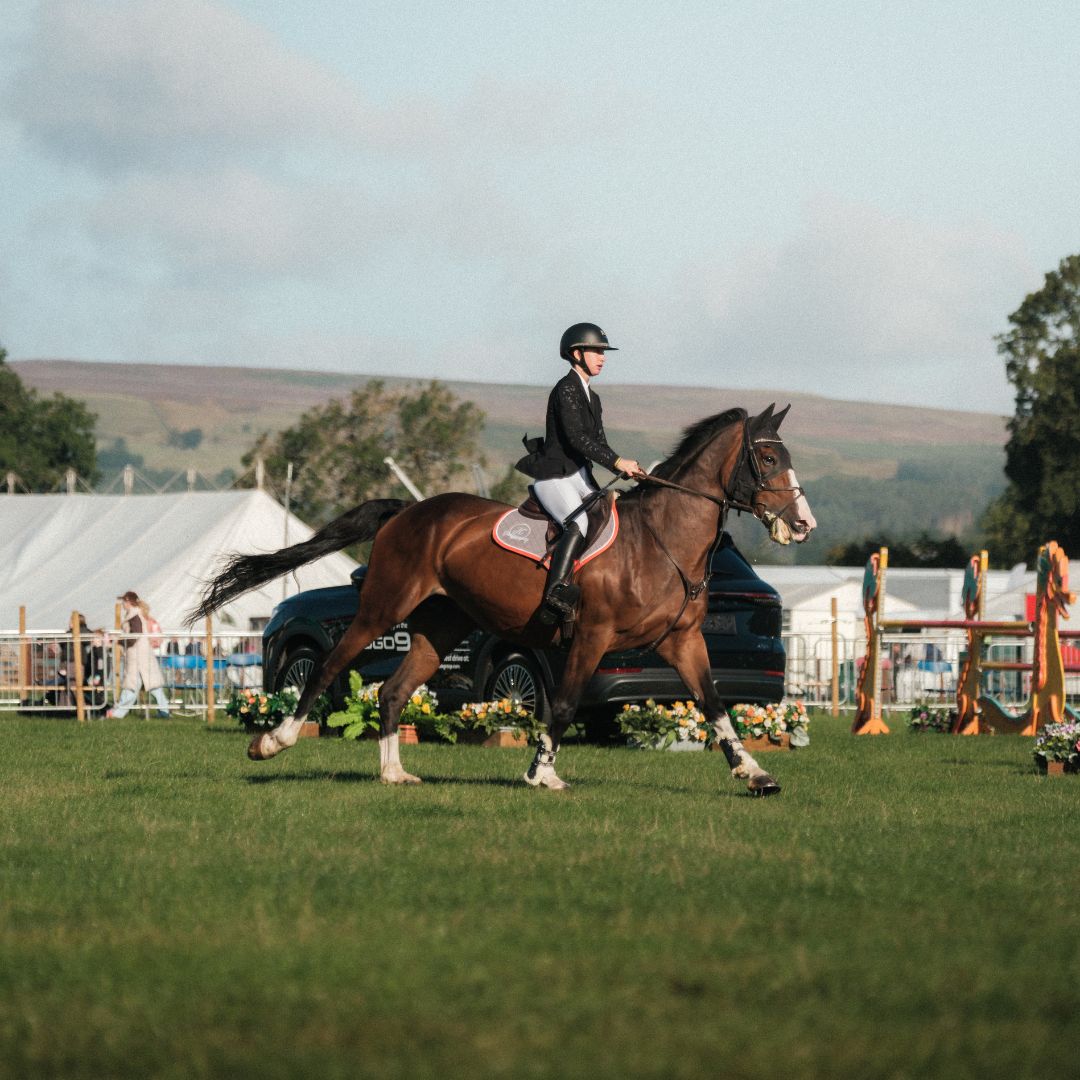 Equestrian rider in black gear on brown horse at an outdoors event.