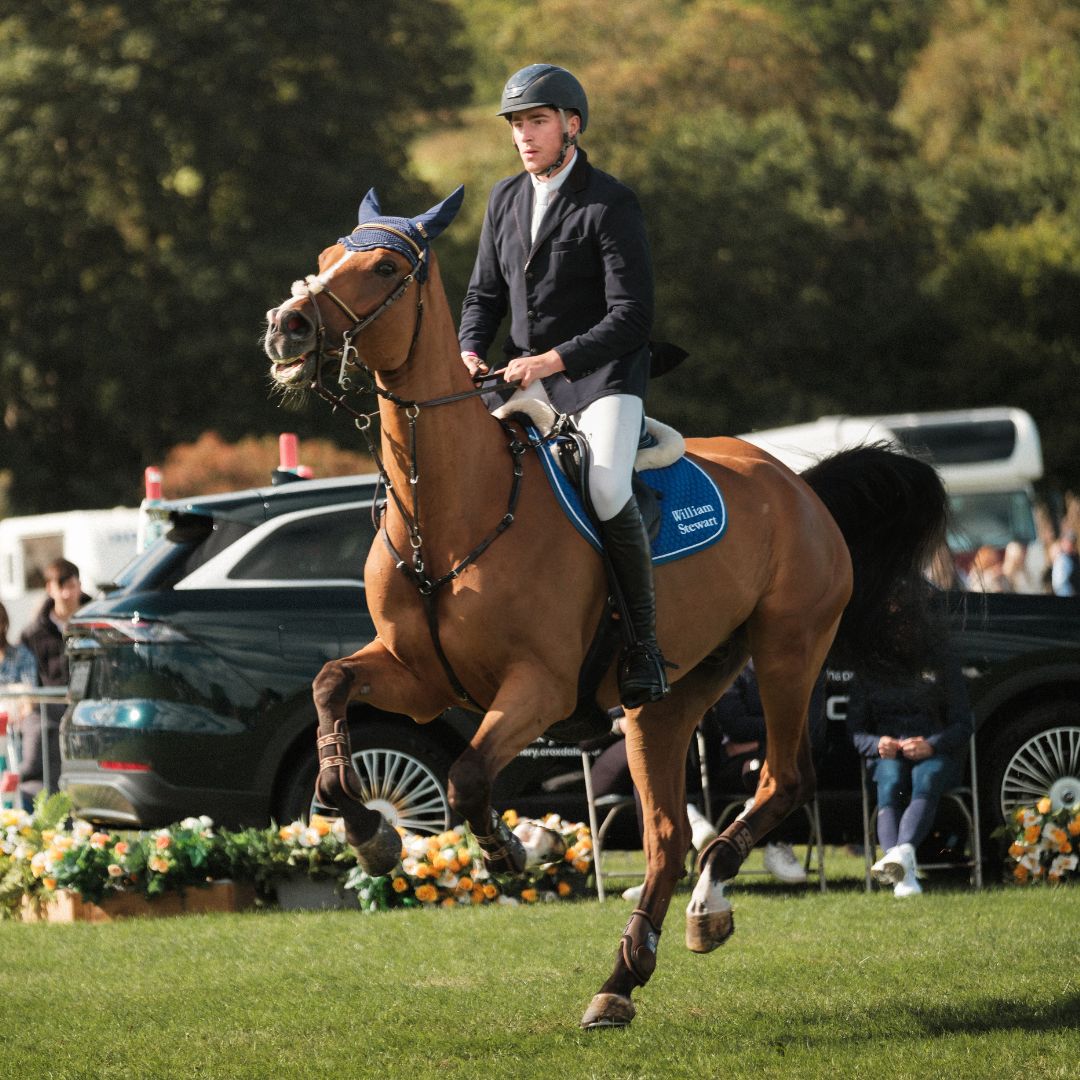 Equestrian rider on a chestnut horse wearing a blue saddle pad and ear bonnet.